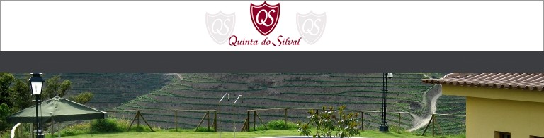 Quinta Do Silval